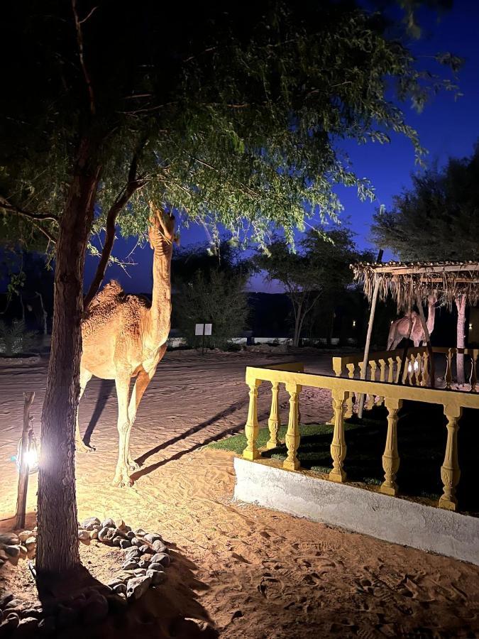 Golden Palm Oasis Hotel Fulayj al Masha'ikh Exterior photo