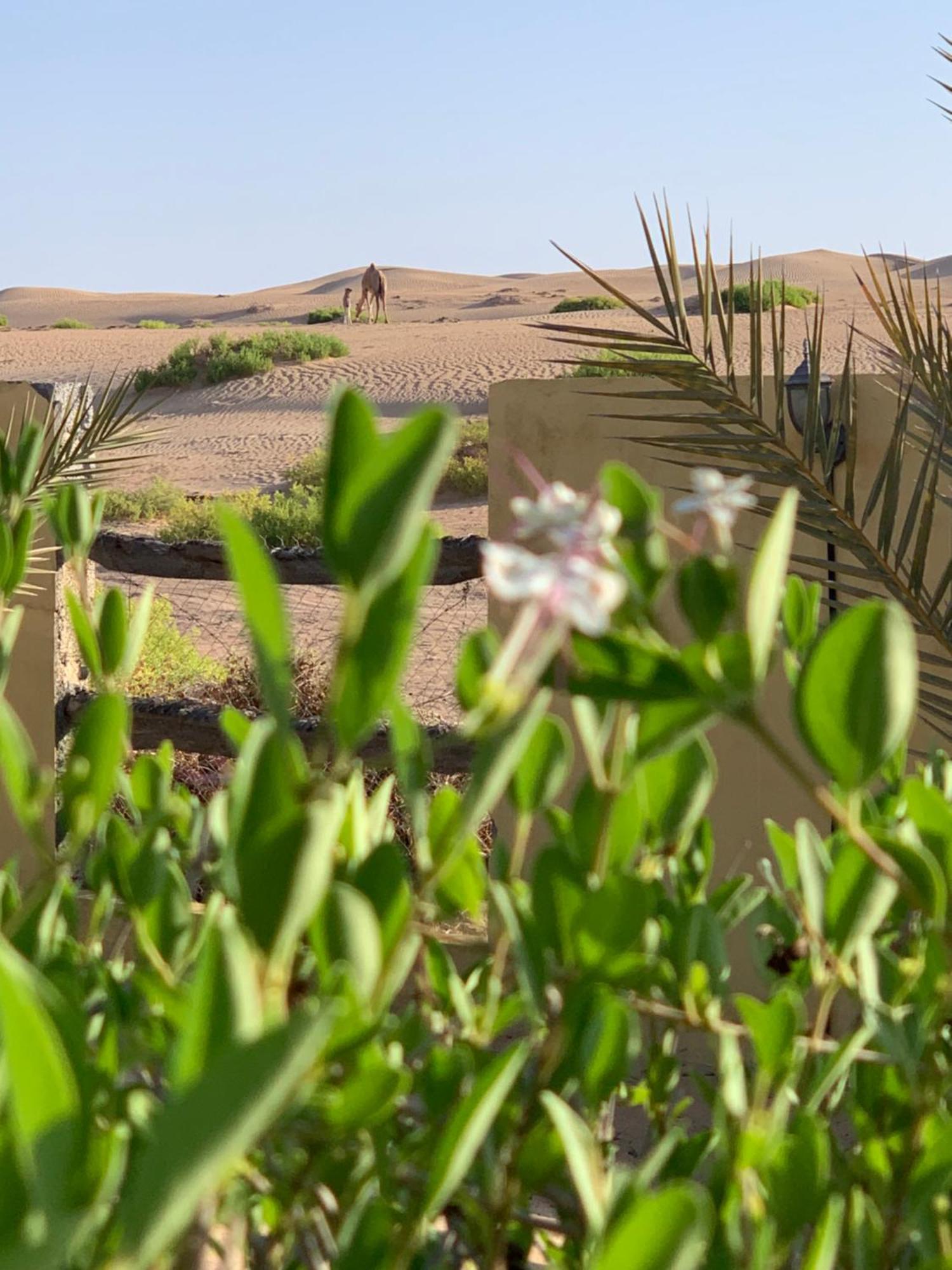 Golden Palm Oasis Hotel Fulayj al Masha'ikh Exterior photo